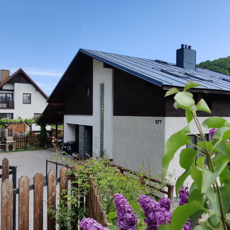 Ubytování - Černá hora II Svoboda nad Úpou Exterior foto