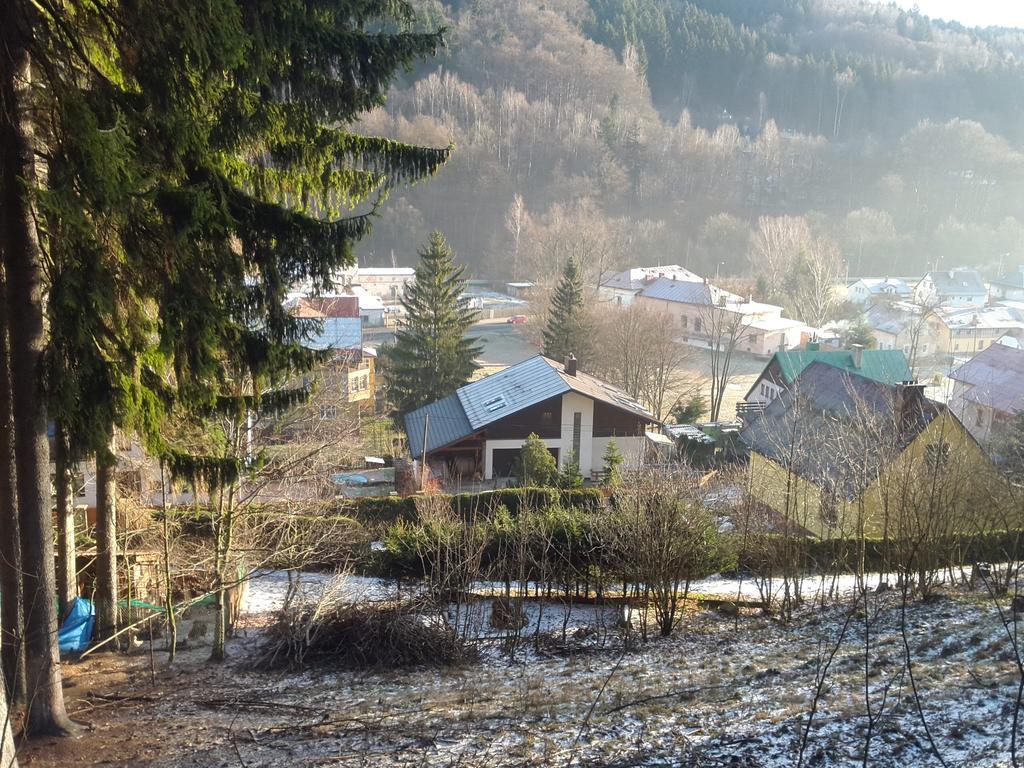 Ubytování - Černá hora II Svoboda nad Úpou Exterior foto